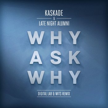 Kaskade feat. Late Night Alumni Why Ask Why (Digital Lab & Mits Remix)