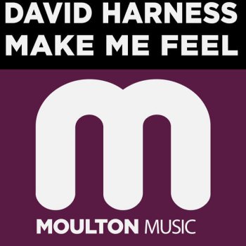 David Harness Something About Da Muziq