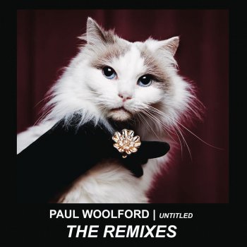 Paul Woolford Untitled (Call out Your Name) - Deetron Remix