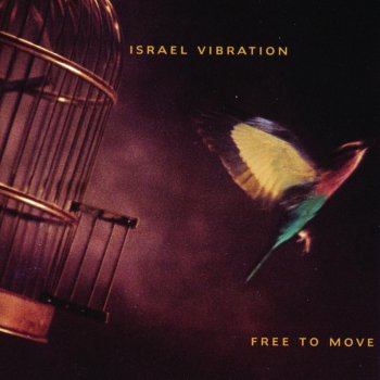 Israel Vibration Saviour In Your Life