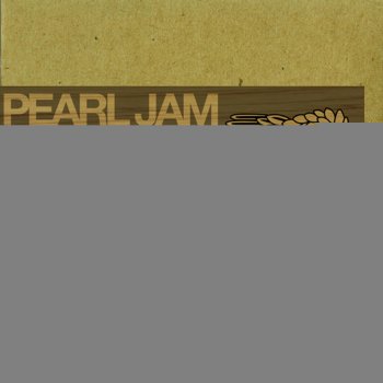 Pearl Jam Amongst the Waves - Live