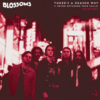 Blossoms There's a Reason Why (I Never Returned Your Calls) (Satin Jackets Remix)