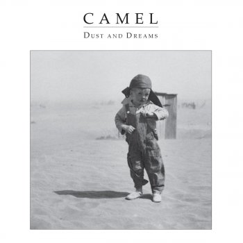 Camel Sheet Rain
