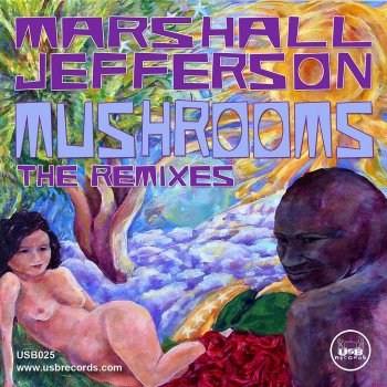 Marshall Jefferson vs. Noosa Heads Mushrooms - Justin Martin Remix