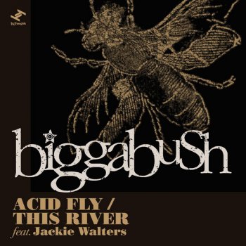 Biggabush This River (feat. Jackie Walters)