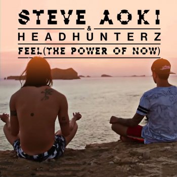Steve Aoki & Headhunterz Feel (The Power of Now)
