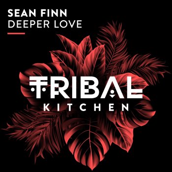 Sean Finn Deeper Love