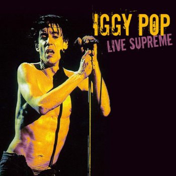 Iggy Pop Search and Destroy (Live)