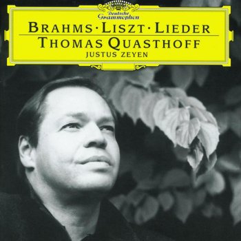 Thomas Quasthoff feat. Justus Zeyen Fünf Lieder, Op. 94: III. Mein Herz ist schwer