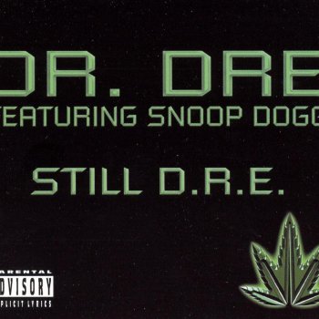 Dr. Dre feat. Snoop Dogg Still D.R.E. (instrumental version)