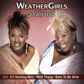 The Weather Girls It's Rainin' Men