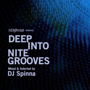 DJ Spinna Deep Into Nite Grooves (Continuous DJ Mix)