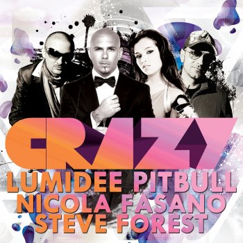 Lumidee feat. Pitbull, Nicola Fasano & Steve Forest Crazy - Extended Mix