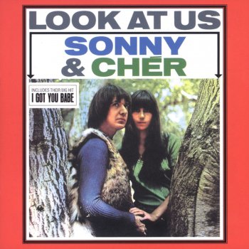 Sonny & Cher It's the Little Things