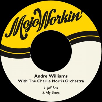 Andre Williams feat. The Charlie Morris Orchestra My Tears