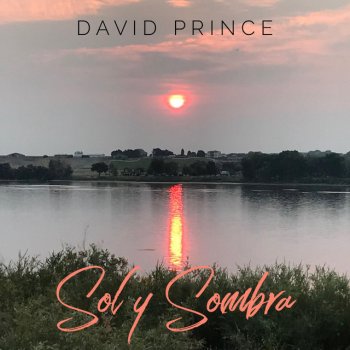 David Prince The Safety of the Shadows