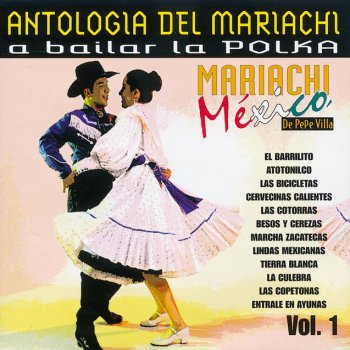 Mariachi Mexico de Pepe Villa Tierra Blanca