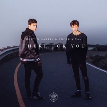 Martin Garrix & Troye Sivan There for You