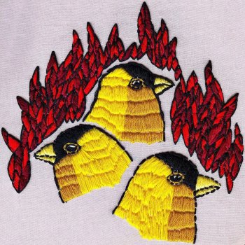 Roar feat. Evan Bisbee & Robin Vining Explosion of Birds
