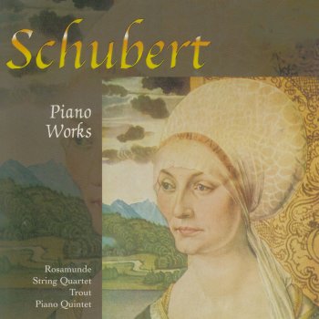 Franz Schubert feat. Elisabeth Leonskaja Adagio in E Major, D. 612