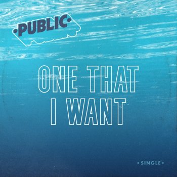 Public One That I Want