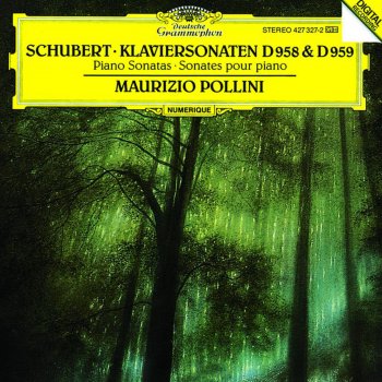 Maurizio Pollini Piano Sonata No. 19 in C minor, D. 958: 1. Allegro