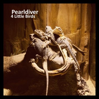Pearldiver 4 Little Birds