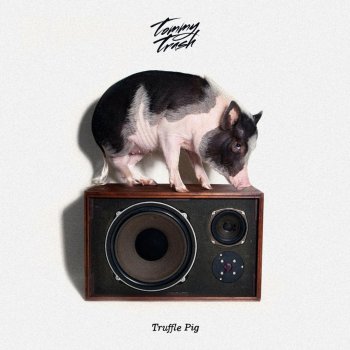 Tommy Trash Truffle Pig