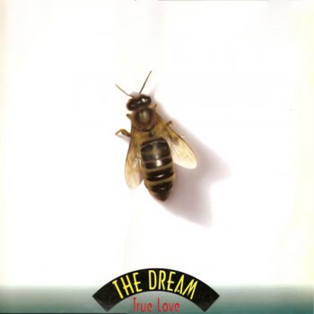 The Dream True Love (Original Radio Edit)