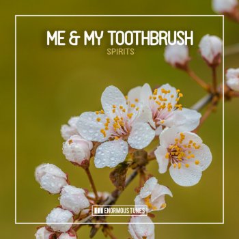 Me & My Toothbrush Spirits - Extended Mix