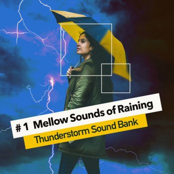 Thunderstorm Sound Bank Daytime Downpour