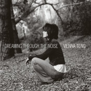 Vienna Teng Nothing Without You
