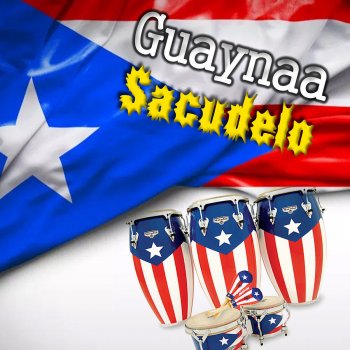 Guaynaa Sacudelo