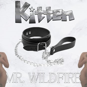 Mr. WildFire Kitten