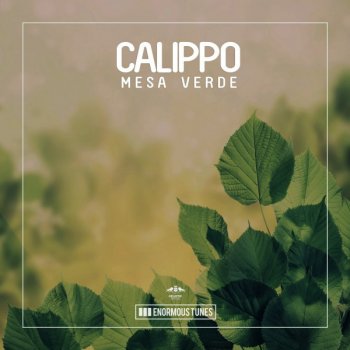 Calippo Mesa Verde (Radio Mix)