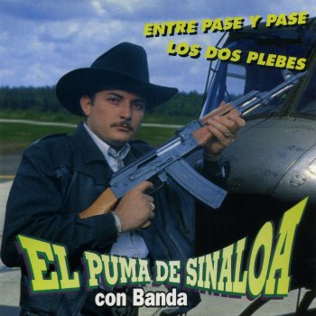 El Puma De Sinaloa Anillo Grabado