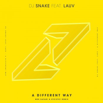 DJ Snake feat. Lauv A Different Way (Bro Safari & ETC!ETC! Remix)