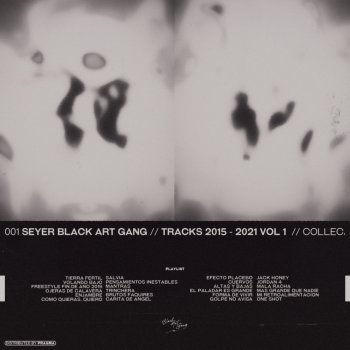 Seyer Black Art Gang feat. Razko Skatemaña Mantras