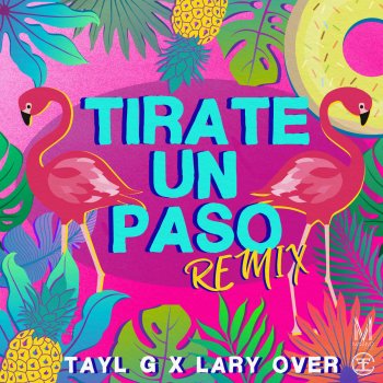 Tayl G feat. Lary Over Tirate Un Paso (Remix)
