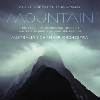 Richard Tognetti feat. Australian Chamber Orchestra A Final Bridge
