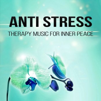 Anti Stress Music Zone Zen Garden