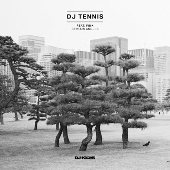 DJ Tennis feat. Fink & Lee Jones Certain Angles - Lee Jones Remix