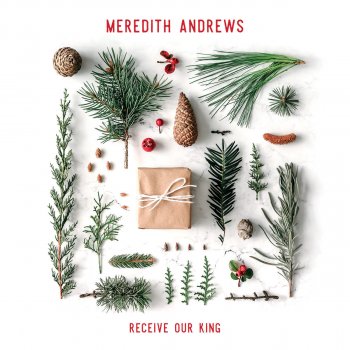Meredith Andrews Come Thou Long Expected Jesus
