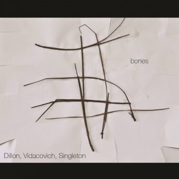 DVS, Mike Dillon, Johnny Vidacovich & James Singleton Bones (feat. Mike Dillon, Johnny Vidacovich & James Singleton)