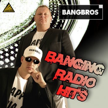 Bangbros Mein Freund Vinyl ist tot (Radio Mix) - Radio Mix