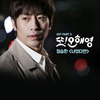 Jung Seung Hwan If It Is You (Instrumental)