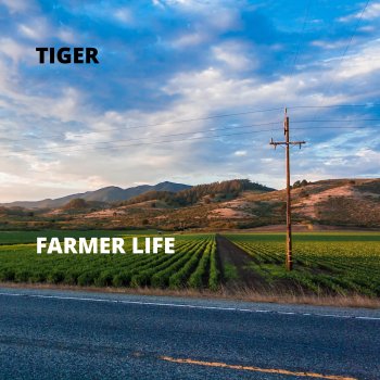 Tiger Farmer Life