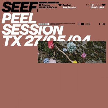 Seefeel Starethrough - Peel Session