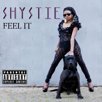 Shystie FEEL IT (EXPLICIT)
