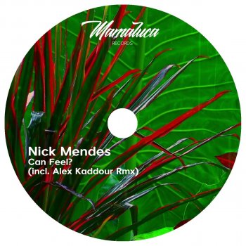 Nick Mendes Low Frequency (Tool Mix)